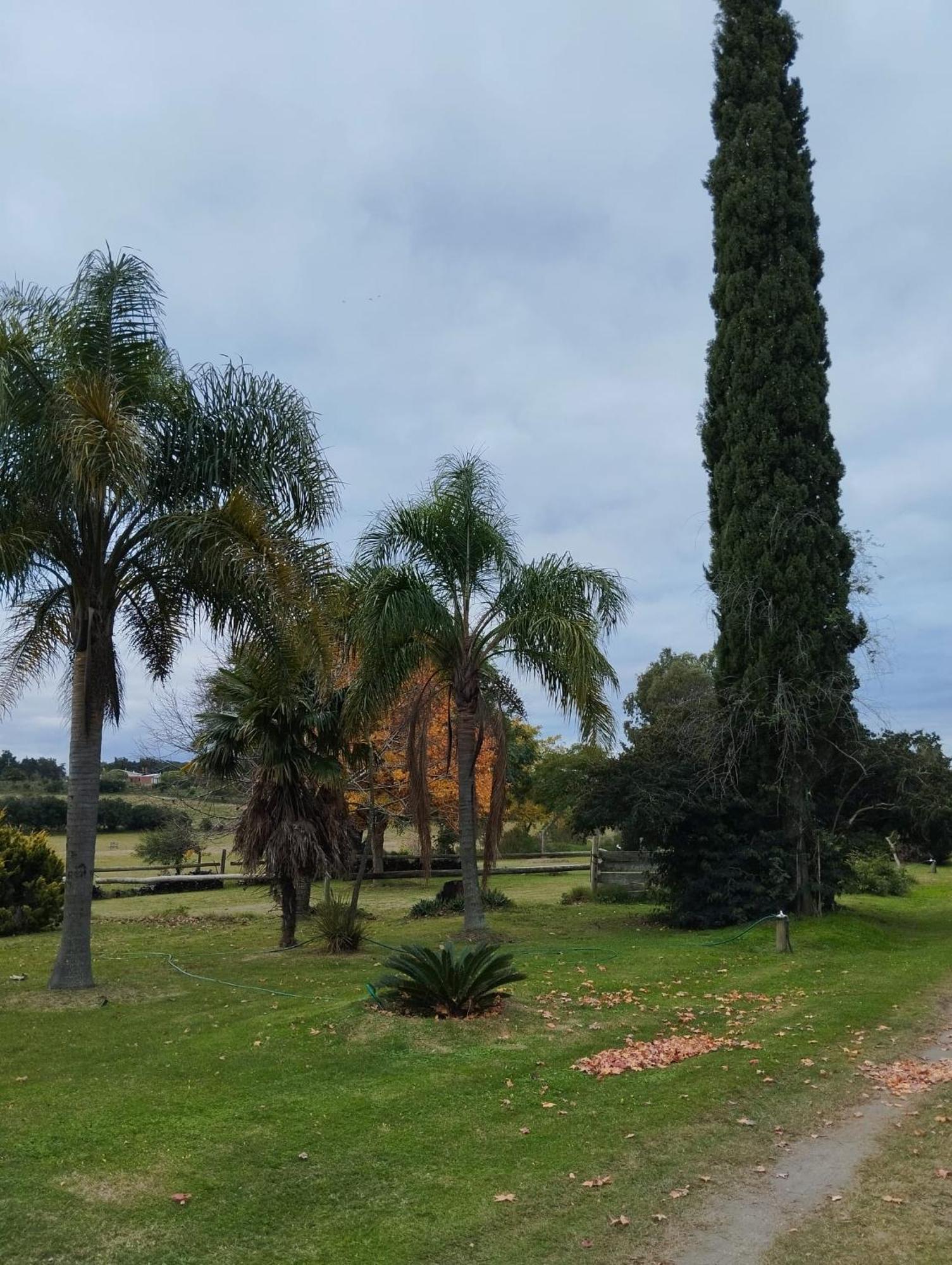 Villa Pilmaiquen à Riachuelo Extérieur photo